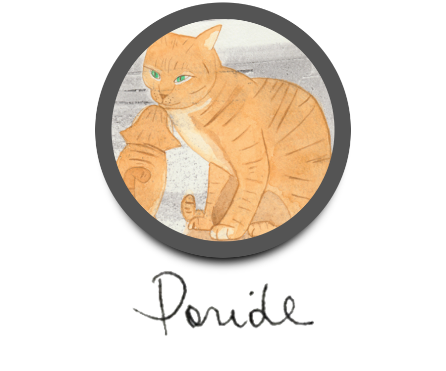 Paride