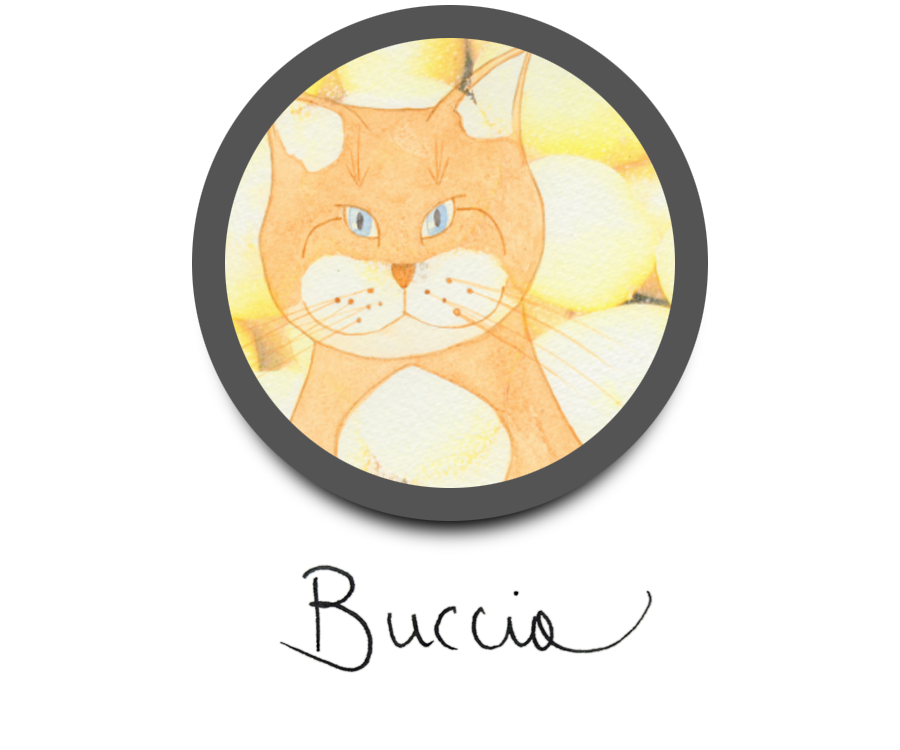 Buccia