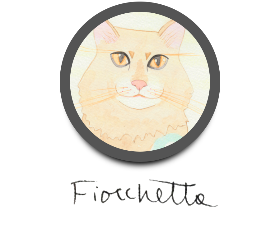 Fiocchetta